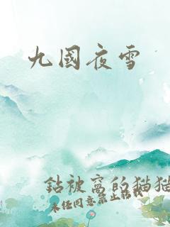九国夜雪