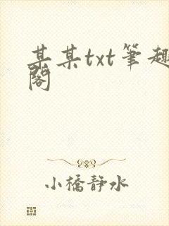 某某txt笔趣阁