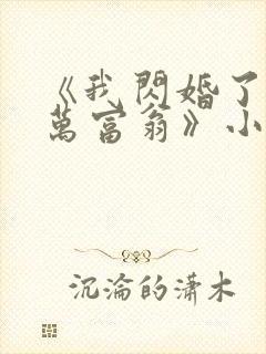 《我闪婚了个亿万富翁》小说