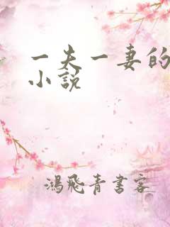 一夫一妻的玄幻小说