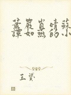 萧严肖晴苏雨溪谭如燕的小说