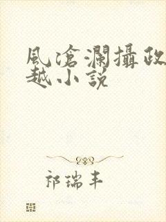 风沧澜摄政王穿越小说