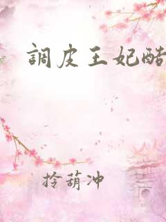 调皮王妃酷王爷