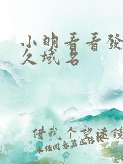 小明看看发布永久域名