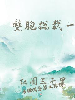 双胞总裁一个妻