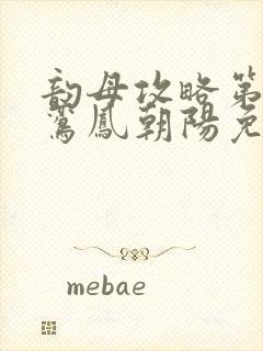 韵母攻略第二部鸾凤朝阳免费