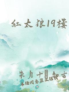 红太狼19楼