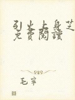 引火上身芝麻糖免费阅读