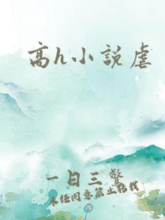 高h小说虐