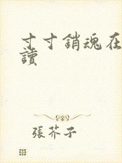 寸寸销魂在线阅读