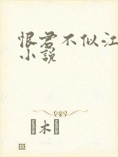 恨君不似江楼月小说