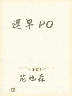 迟早 PO