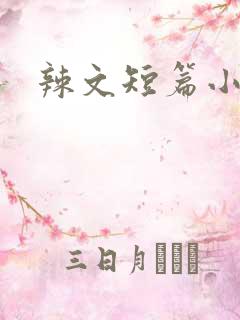 辣文短篇小说