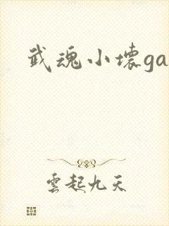 武魂小坏ga