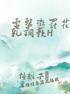 电击惩罚花蒂榨乳调教H