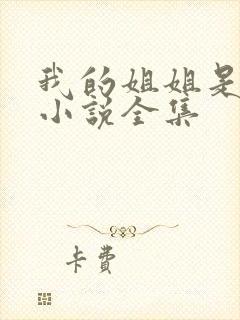 我的姐姐是尤物小说全集