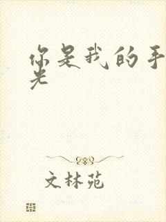 你是我的手冢国光