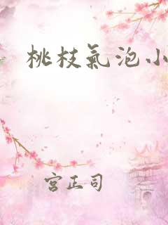 桃枝气泡小说