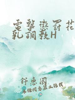 电击惩罚花蒂榨乳调教H