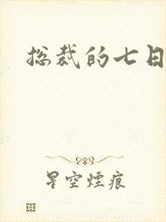 总裁的七日恋人