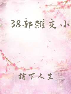 38部杂交小说