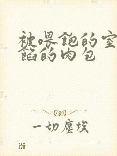 被喂饱的室友爆馅的肉包