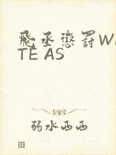 飞丞惩罚WRITE AS