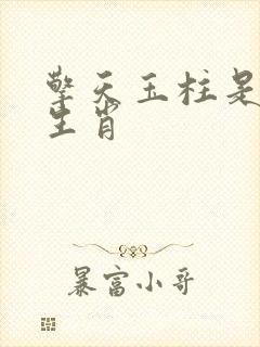 擎天玉柱是什么生肖