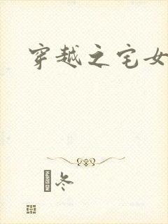 穿越之宅女夫人