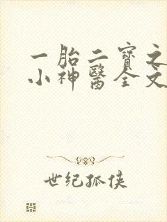 一胎二宝之弃妃小神医全文免费阅读