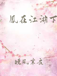 凤在江湖下载