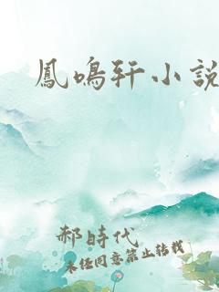 凤鸣轩小说