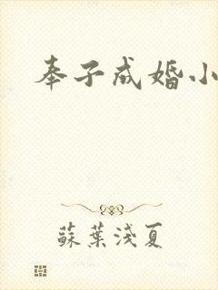 奉子成婚小说