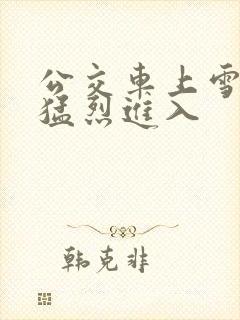 公交车上雪柔被猛烈进入