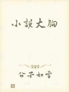 小说大胸