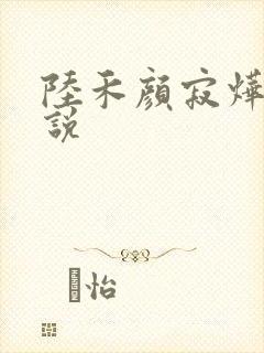 陆禾颜寂烨霖小说