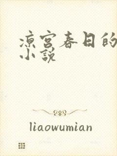 凉宫春日的忧郁小说