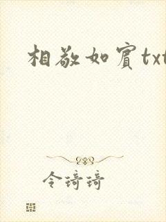 相敬如宾txt