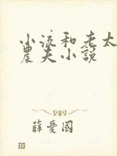 小流和老太69农夫小说