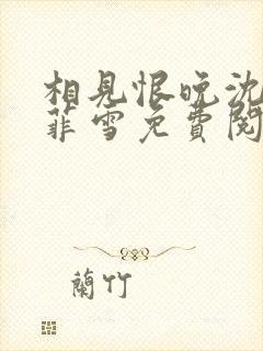 相见恨晚沈浩秦菲雪免费阅读