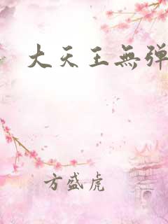大天王无弹窗