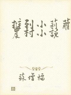 推到小莉萝稚嫩农村小说