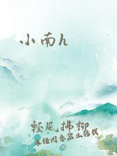 小南h
