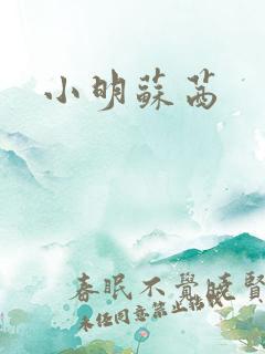 小明苏茜