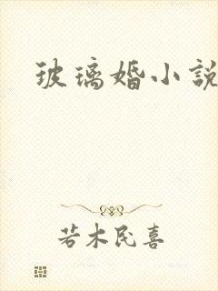玻璃婚小说