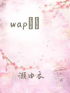 wapС˵