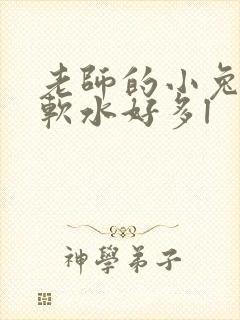 老师的小兔子好软水好多l