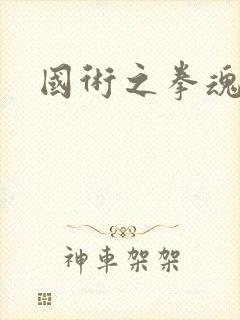 国术之拳魂