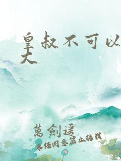 皇叔不可以 太大