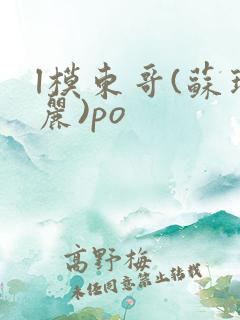 l模东哥(苏玛丽)po